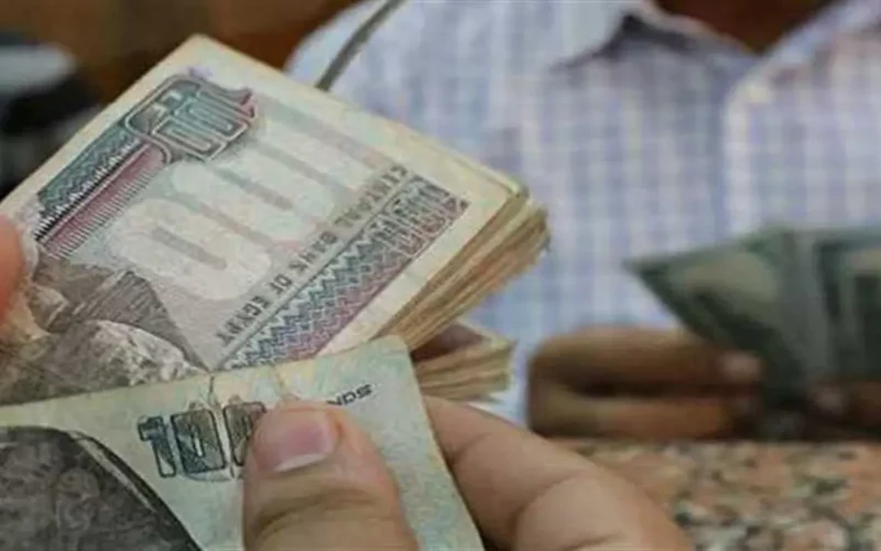 متقاعدون فبراير 2026.. مقدار زيادة المعاش بعد تعديل الأجر التأميني